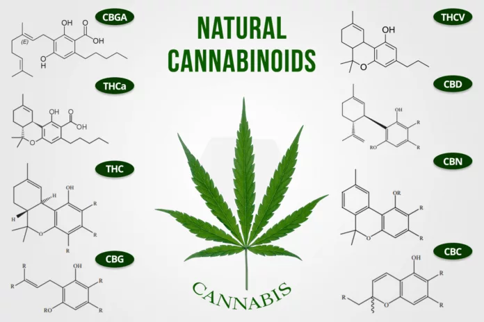 Cannabinoider