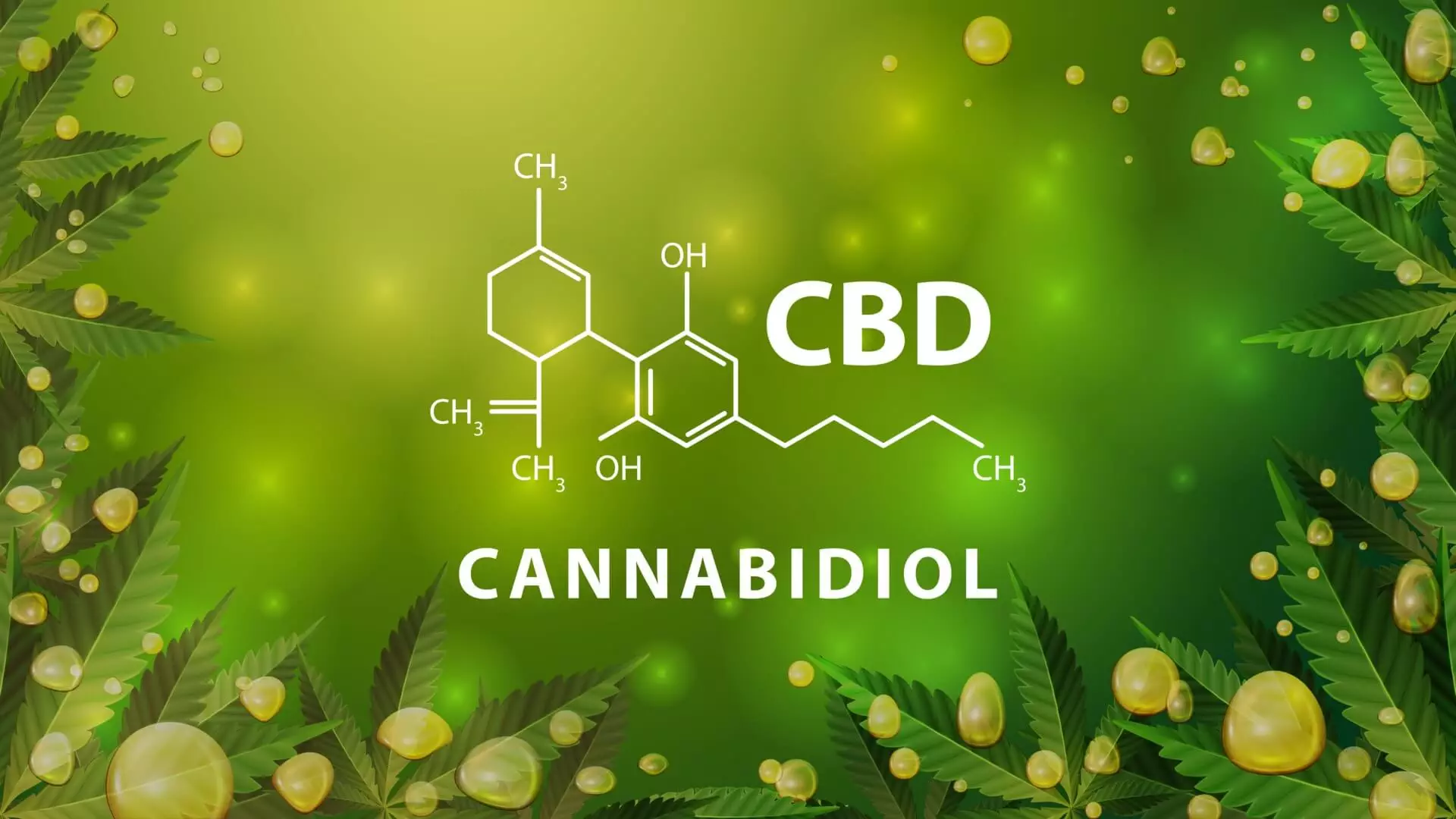 cannabinoider